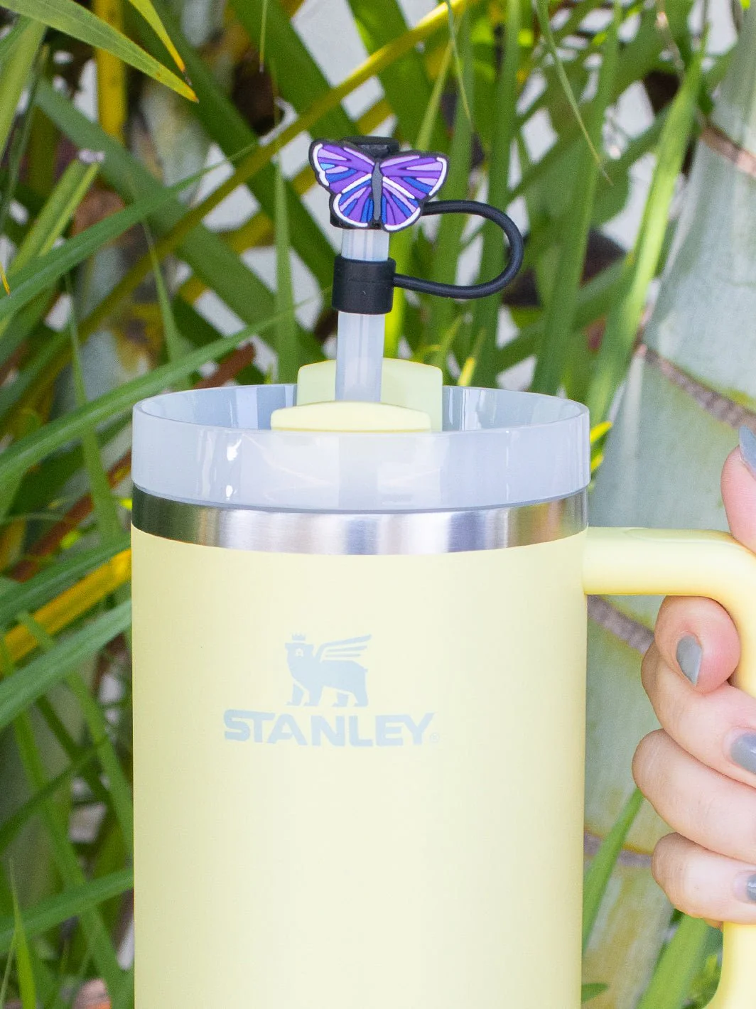Straw Cover - Image 35