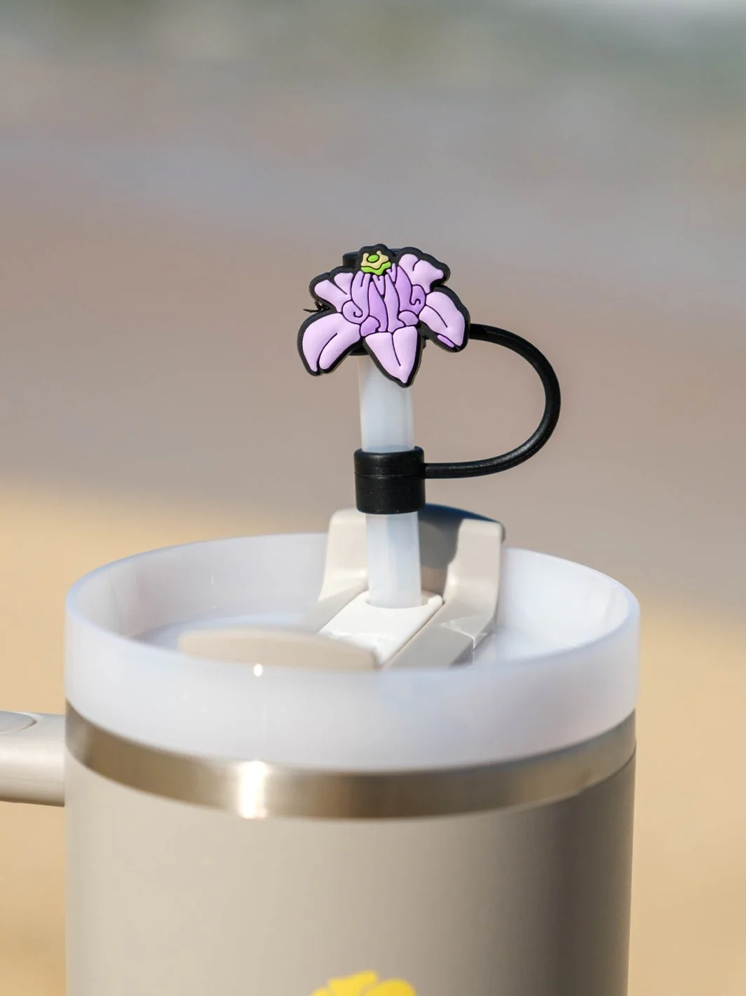 Straw Cover - Image 41