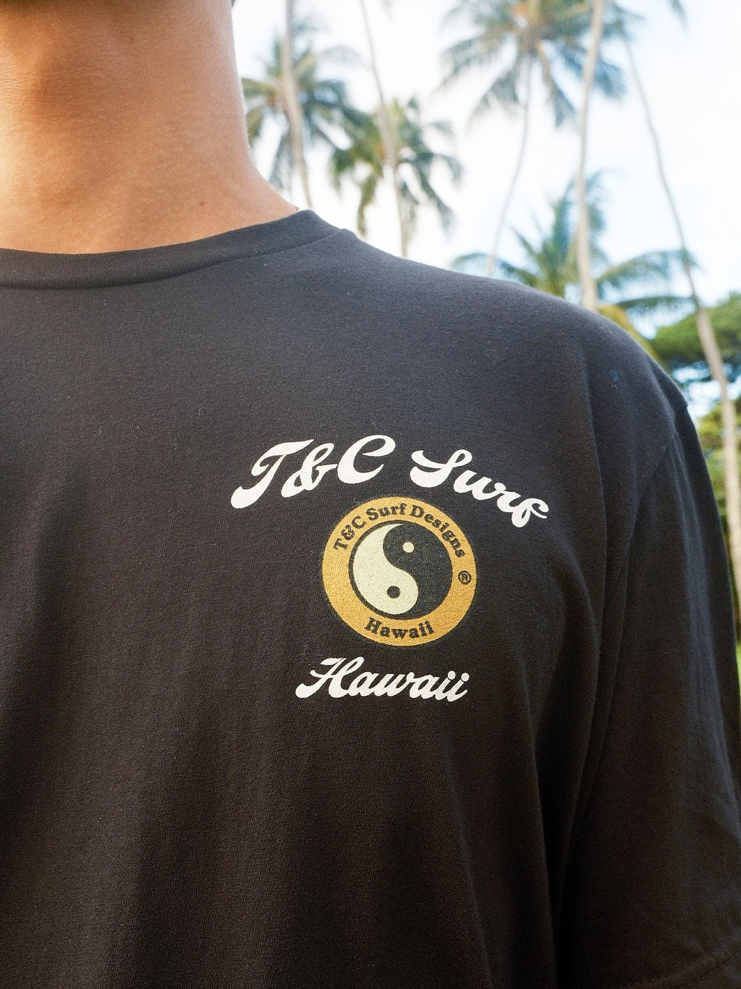Adobo and Rice Jersey Tee - Image 14