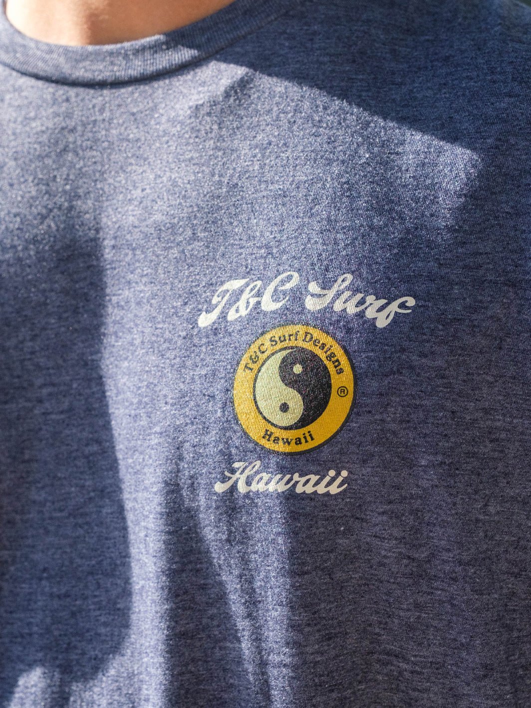 Adobo and Rice Jersey Tee - Image 3