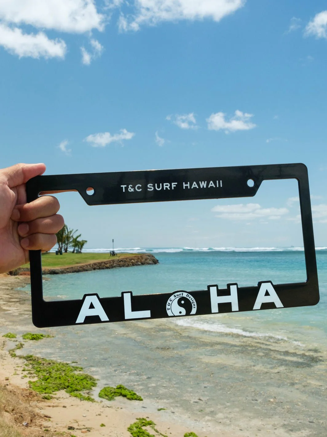Big Aloha License Plate - Image 3