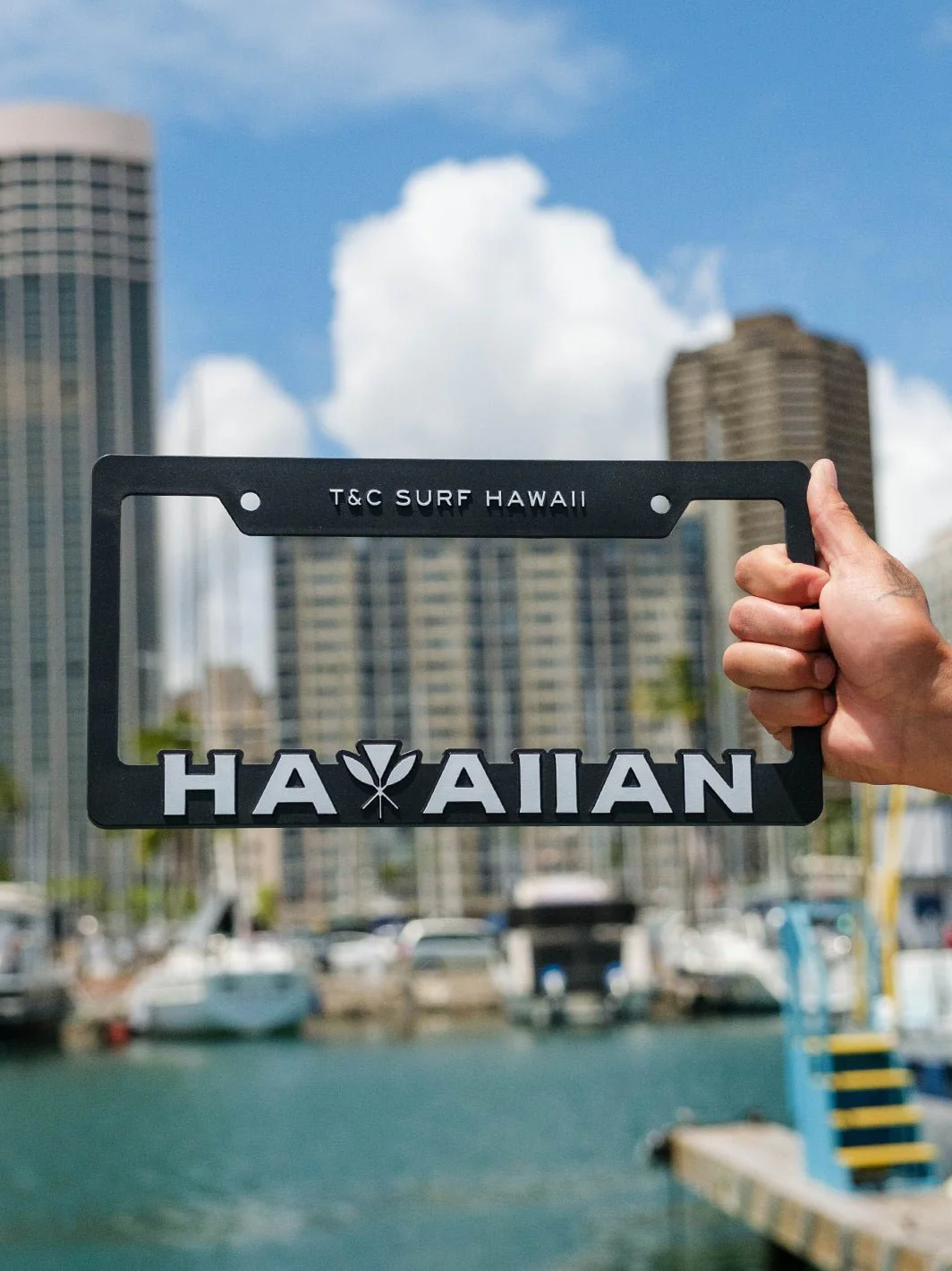 Hawaiian License Plate