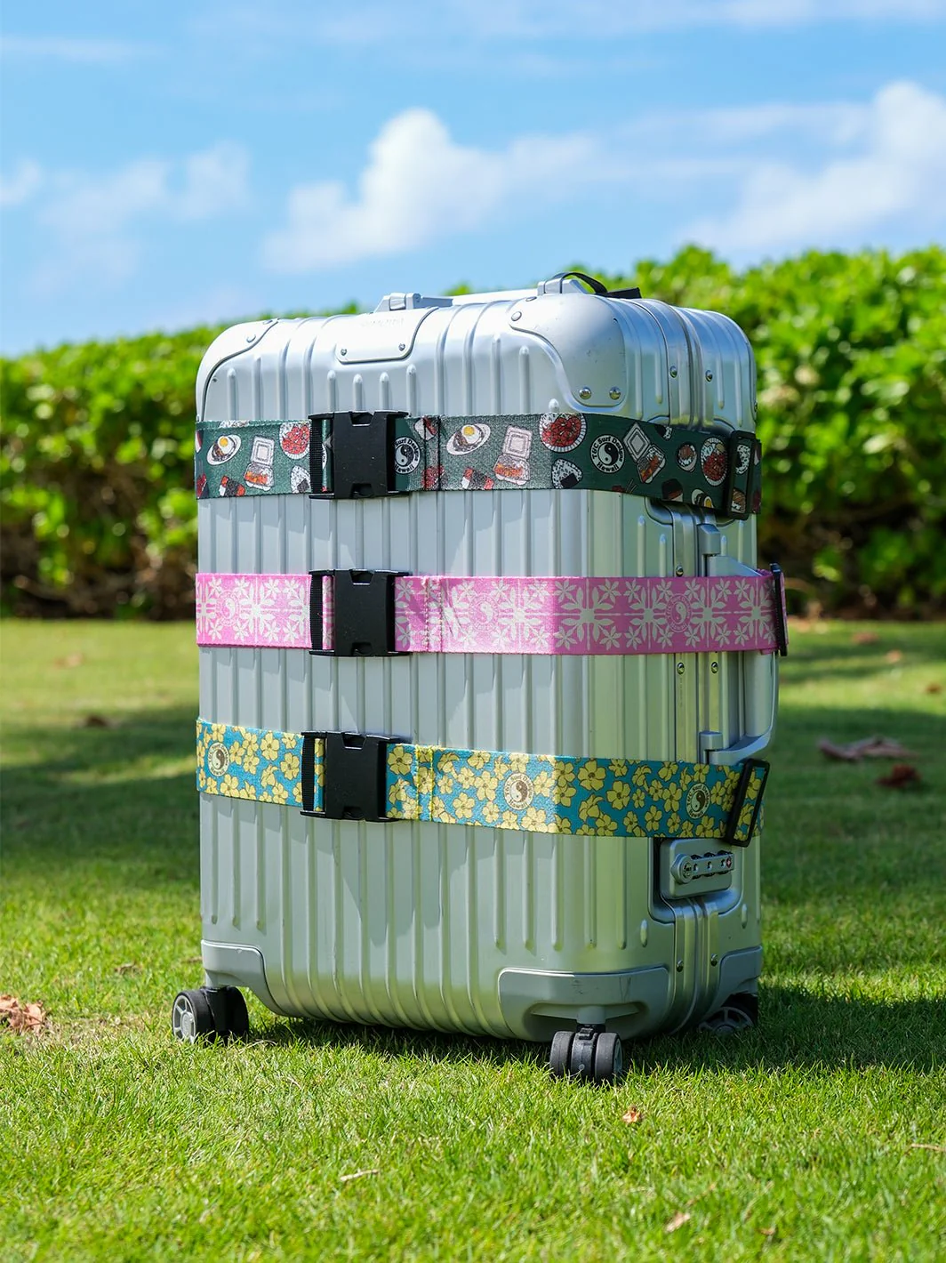 Luggage Strap - Image 24